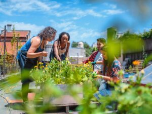 Building community through connections, a group of people doing gardening together
